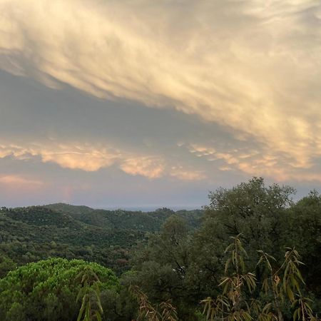 Vila Casa Con Vista Y Jardin, A 20' De La Playa Sant Cebrià de Vallalta Exteriér fotografie
